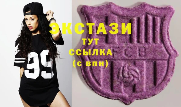 ECSTASY Алзамай