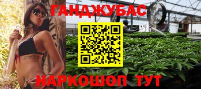 прущие крисы Гай