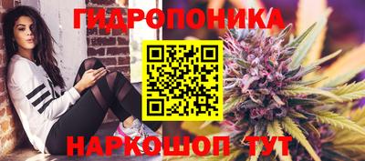 гидропоника Гагарин