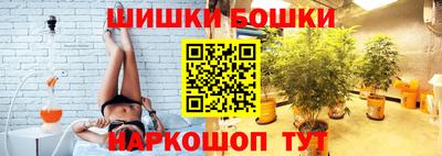 прущие крисы Гай