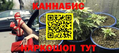 прущие крисы Гай