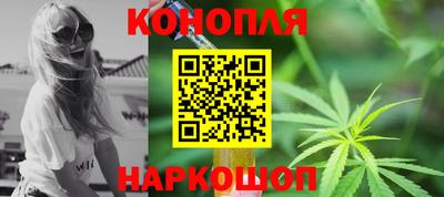 прущие крисы Гай