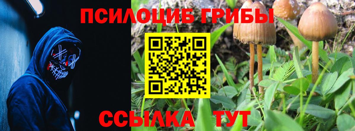 Псилоцибиновые грибы GOLDEN TEACHER  Галлюциногенные грибы Cubensis  Вход с VPN  Магадан 